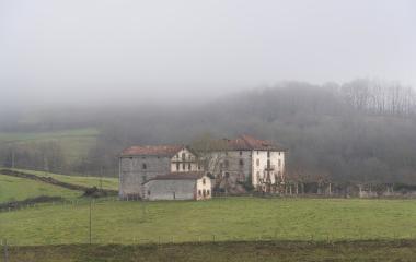 Ruinas de casa antigua en prado con montaña boscosa al fondo en clima nebuloso.