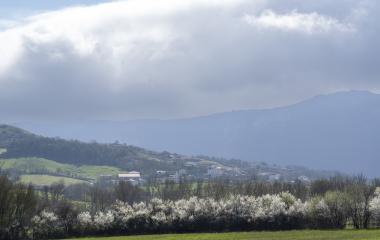 Pueblo de Ergoiena en el valle con arboles en flor, montes verdes y cielo nublado al fondo.