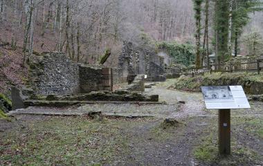 Ruinas de la Fábrica de Armas de Eugi integradas en bosque de hayas, con panel informacion y muros de piedra.