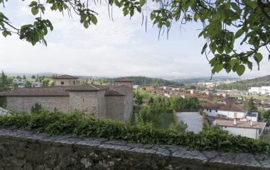 Pueblo y palacio de Olloki visto desde un mirador con muro de piedra y hiedra en primer plano.