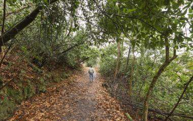 Parque Natural del Señorío de Bertiz