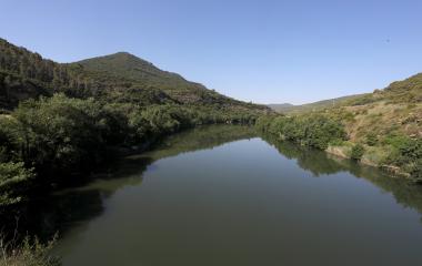 Río Aragón rodeado de bosque en la Reserva Natural de Caparreta, Comarca de Sangüesa.