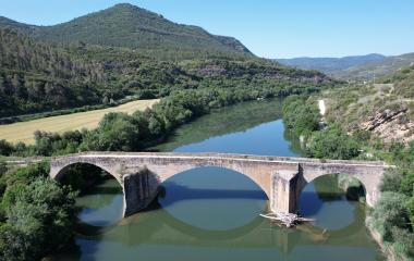 Río Aragón rodeado de bosque y puente de piedra en primer plano en la Reserva Natural de Caparreta, Comarca de Sangüesa.