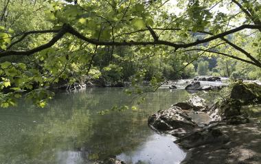Río Bidasoa en Baztan Bidasoa con bosque ribereño, rocas y ramas colgantes sobre aguas tranquilas.