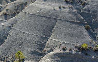 Formaciones rocosas grises con vegetación dispersa en el embalse de Yesa, con plantas creciendo entre las grietas de la piedra.