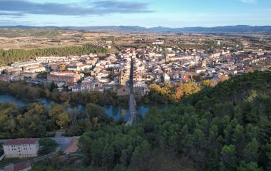 Vista aérea de Sangüesa con el río atravesando la localidad, rodeada de bosques.