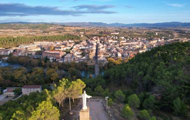 Vista aérea de Sangüesa con el río atravesando la localidad, rodeada de bosques.