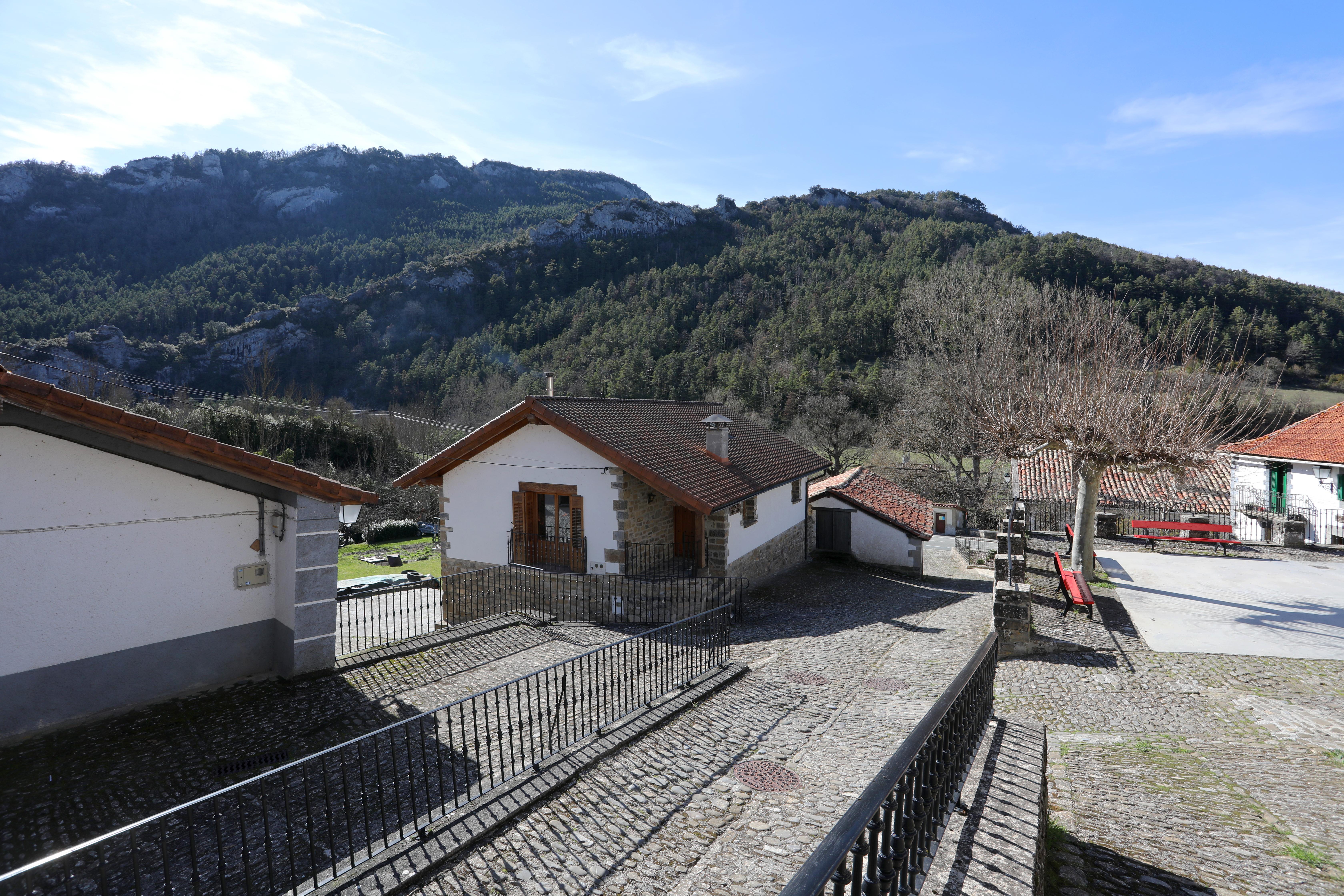 Calle empedrada de Sarries con casas de piedra al lado de una plaza y rodeadas de bosque pirenaico al fondo.
