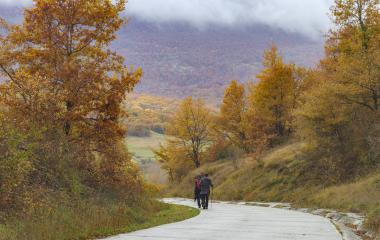 Sierra de Aralar