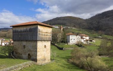 Torre de Donamaria | Vista general