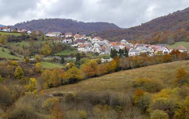 Valle de Aezkoa | Vista general