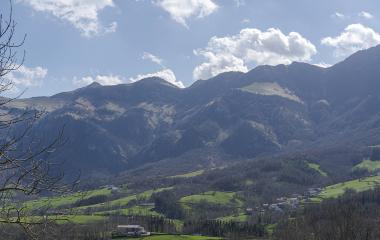 Valle de Araitz con prados verdes, bosques de coníferas y montañas pirenáicas al fondo bajo cielo nublado.