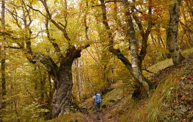 Valle de Salazar | Ruta Gartxot