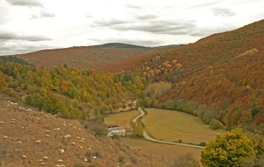 Valle de Salazar | Sierra de Abodi