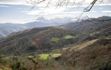 Valle de Baztan con bosques de transición estacional, prados dispersos y montañas al fondo bajo cielo nublado.