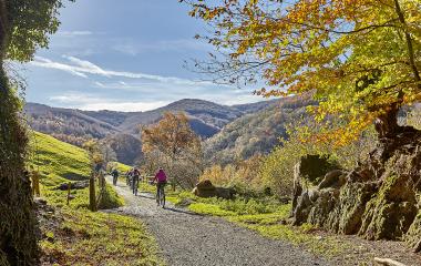 Camino Natural Vía Verde del Plazaola