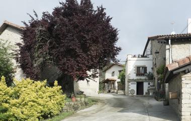 Calle con conjunto de casas de piedra en Zabaldika, con vegetacion y arboles alrededor.