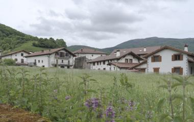 Conjunto de casas tradicionales en Zilbeti, con prado verde y flores en primer plano.