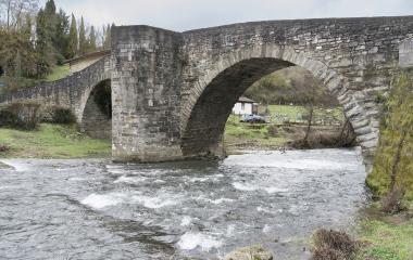 Puente de piedra con arco románico sobre río en Zubiri, rodeado de vegetación.