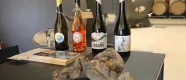 Degustación de vino tinto de Bodega Eslava en el yacimiento de Santa Criz de Eslava.
